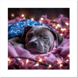 Sleepy Staffy Puppy Posters and Art